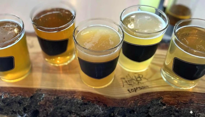 Askur Taproom -  Simi - Egilsstaðir
