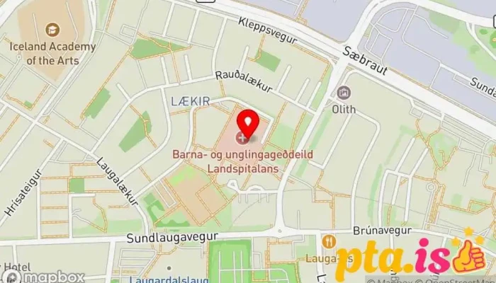 Barna Og Unglingageddeild Landspitalans Kort - Reykjavík