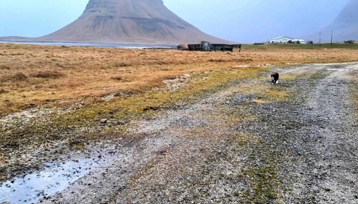 Berg Horse Farm -  Nalægt Mer - Énésæþ
