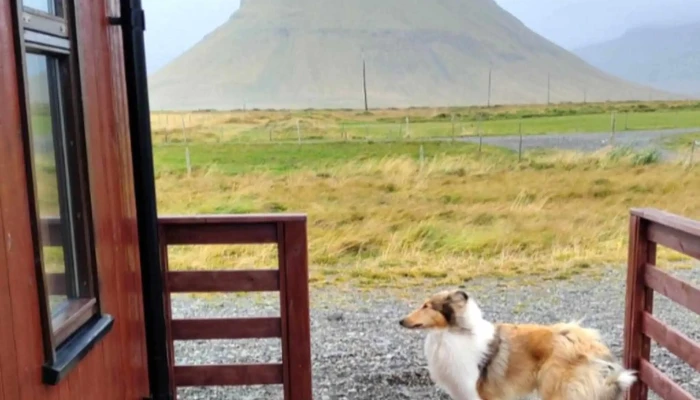 Berg Horse Farm -  Umsagnir - Énésæþ