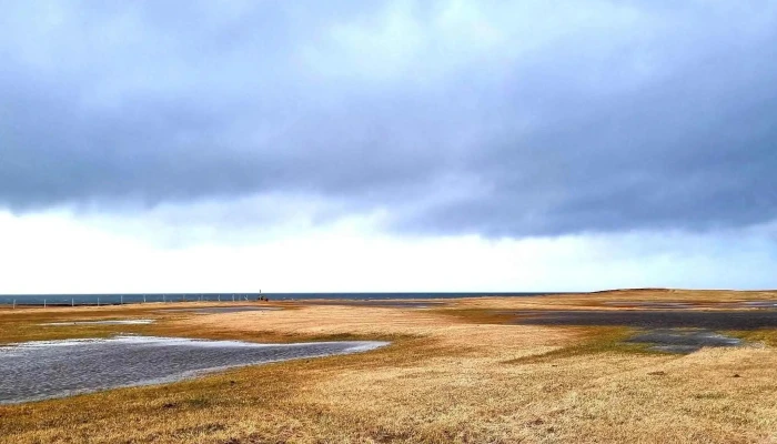 Berg Horse Farm -  Verð - Énésæþ