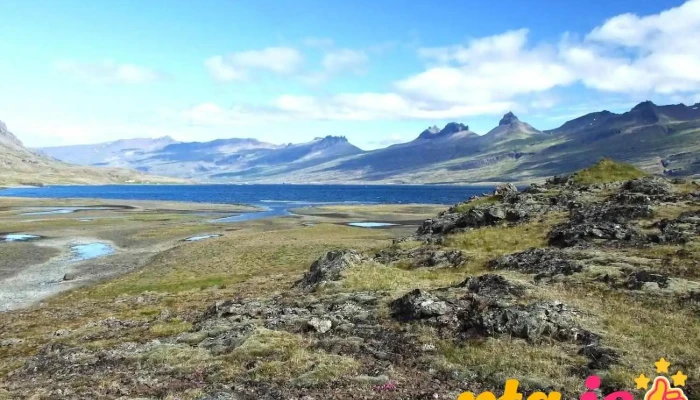 Berufjörður - Iceland