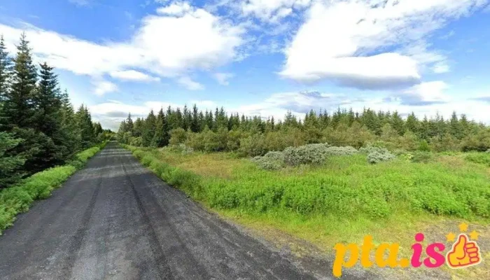Bílastæði - 161