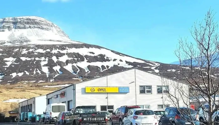 Bíley - Aðalskoðun - Reyðarfjörður