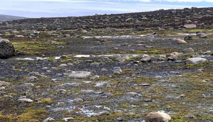 Bjalfafell Safn - Egilsstaðir