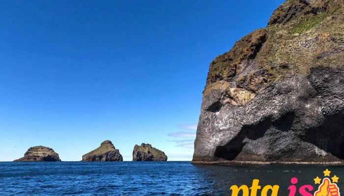 Boat Tours In Vestmannaeyjar -  Ferðaþjonustufyrirtæki - Vestmannaeyjabær