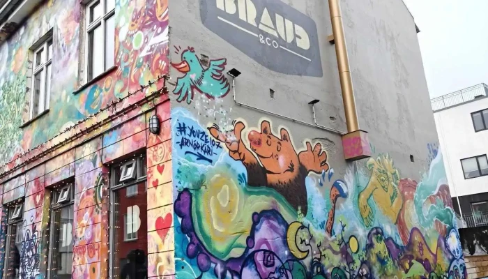 Braud Co Nyjast - Reykjavík