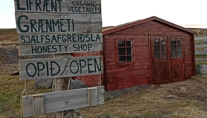 Breidargerdi Gardyrkjustod Bondabær - Varmahlíð