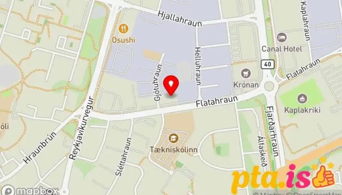 Burger Inn -  Hafnarfjorður 1 - Hafnarfjörður
