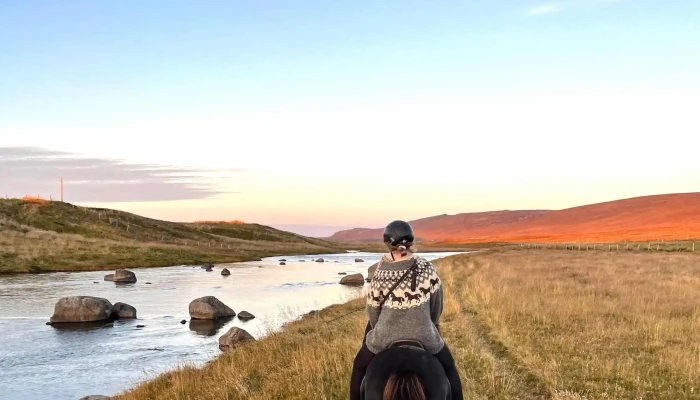 Dalahestar -  Umsagnir - Búðardalur
