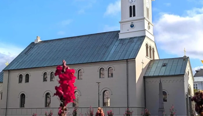Dómkirkjan í Reykjavík - Reykjavík