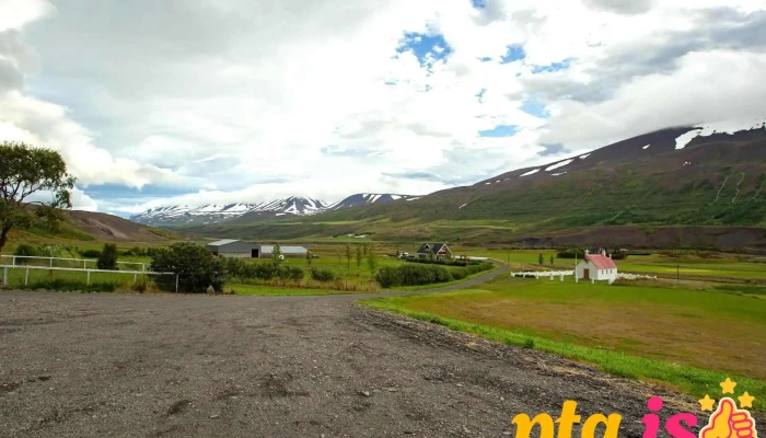 Draflastadir Guesthouse -  Naerumhverfi - Draflastadir