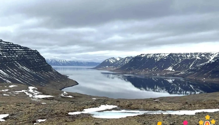 Dynjandisheiði Heath - 466