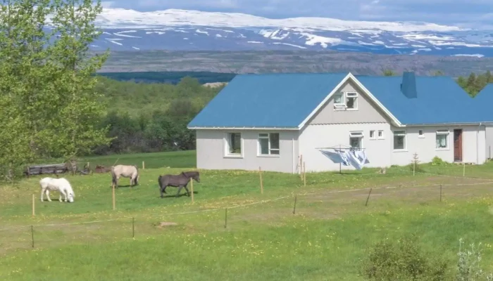 Eidagisting Guesthouse Naerumhverfi - Egilsstaðir