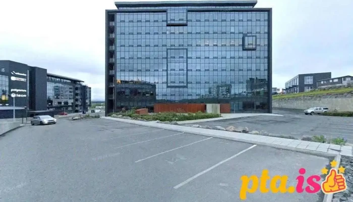 Einstök börn - Kópavogur