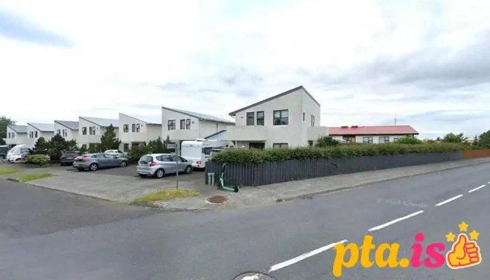 Fát | Heim - Reykjavík