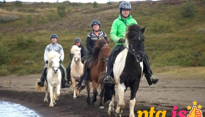 Finnsstaðir Horse Rental - 701 Egilsstaðir