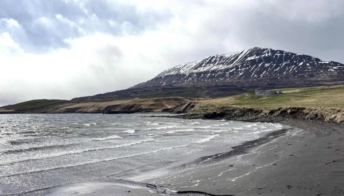 Fjorubodin Aætlun - Hauganes