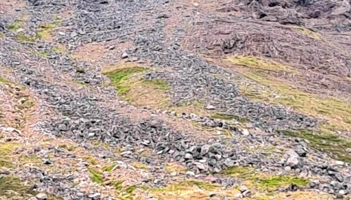 Flodvarnarveggur Athugasemdir - Ísafjörður