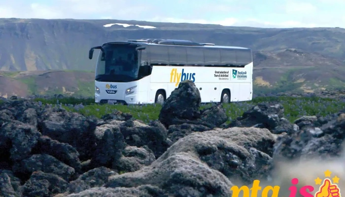 Flybus Airport Transfer -  Ferðaþjonustufyrirtæki - Keflavík