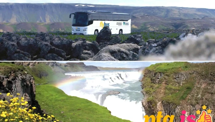 Flybus Airport Transfer -  Fra Eiganda - Keflavík