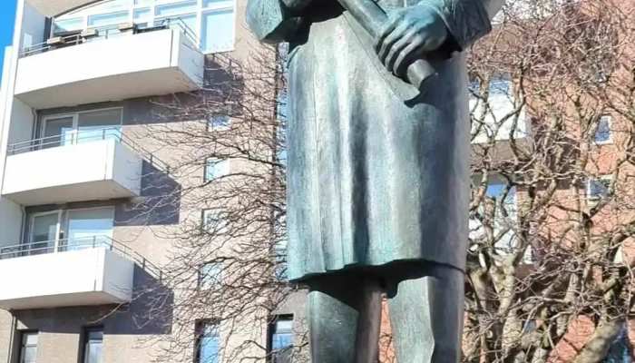 Fogetagardurinn Myndskeid - Reykjavík