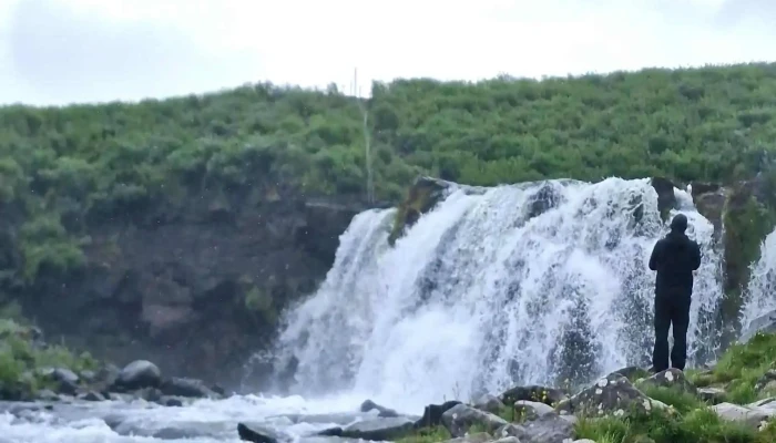 Fossarett Kynning - Selfoss
