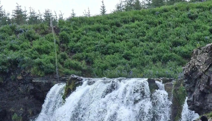 Fossarett Myndir - Selfoss