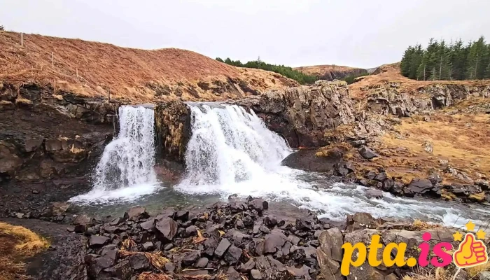 Fossarett Myndskeid - Selfoss
