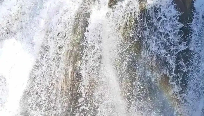 Fossarett Nyjast - Selfoss