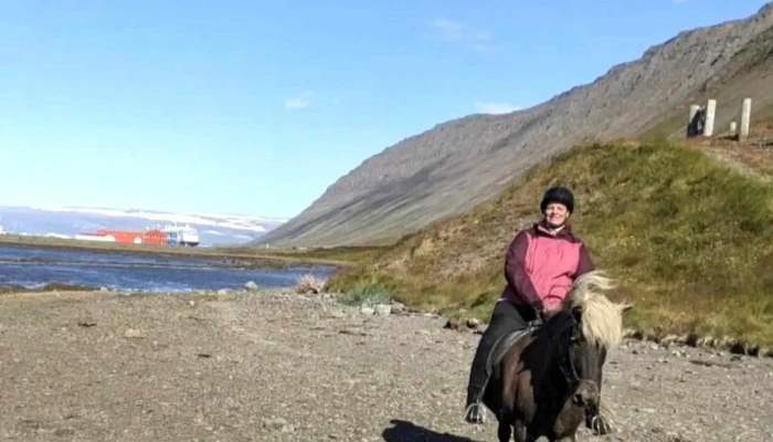 Fosshestar -  Einkunn - Ísafjörður