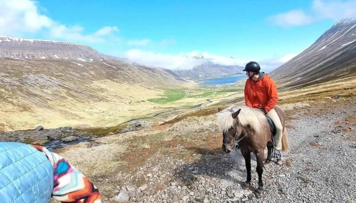 Fosshestar -  Ferðaþjonustufyrirtæki - Ísafjörður