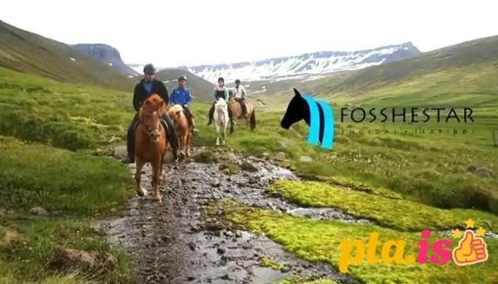 Fosshestar -  Fra Eiganda - Ísafjörður