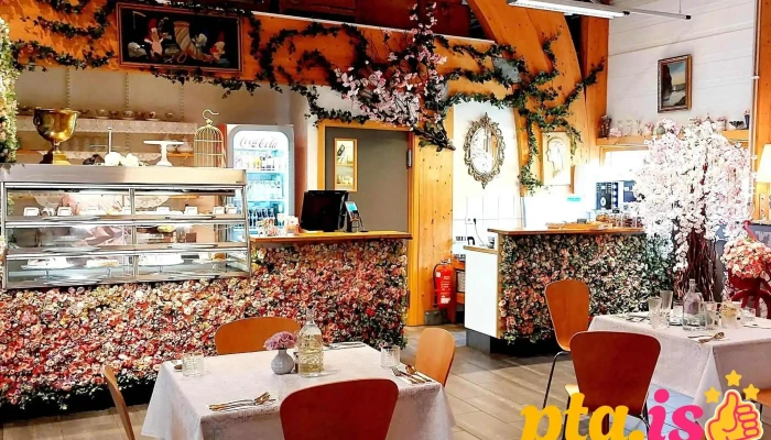 Freya Café - Inside Skogar