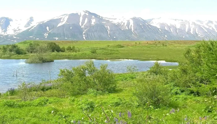 Fuglaskodunarhus Staðsetning - Hrísey