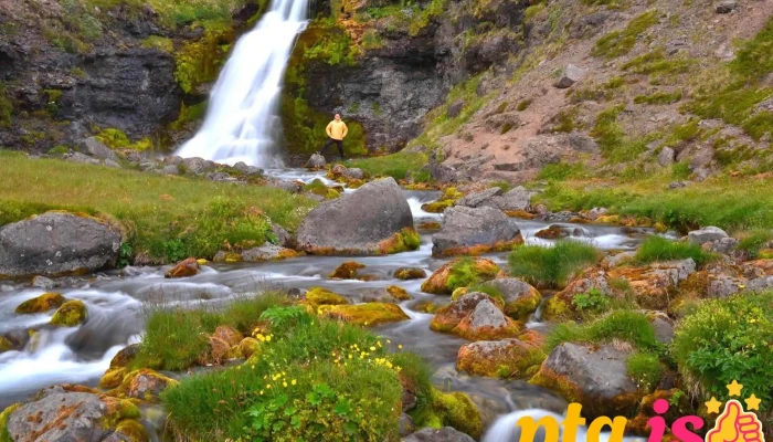 Gljúfurárfoss Waterfall - 466