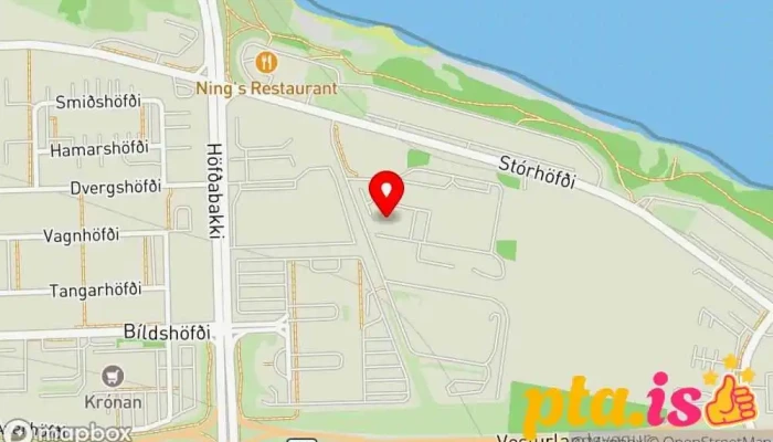 Golflagnir Ehf -  Reykjavik+258556+1 - Reykjavík