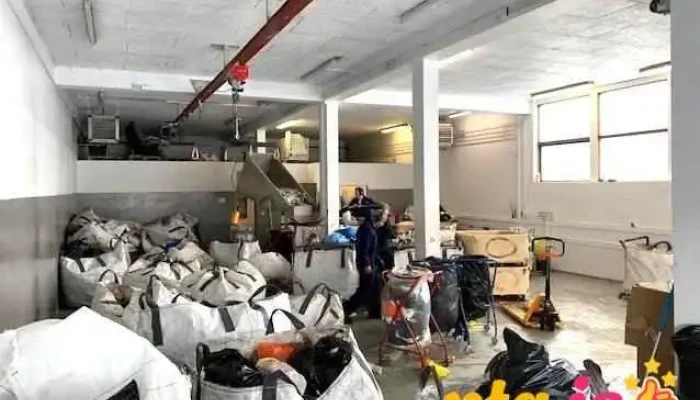 Graenir Skatar Fra Eiganda - Reykjavík