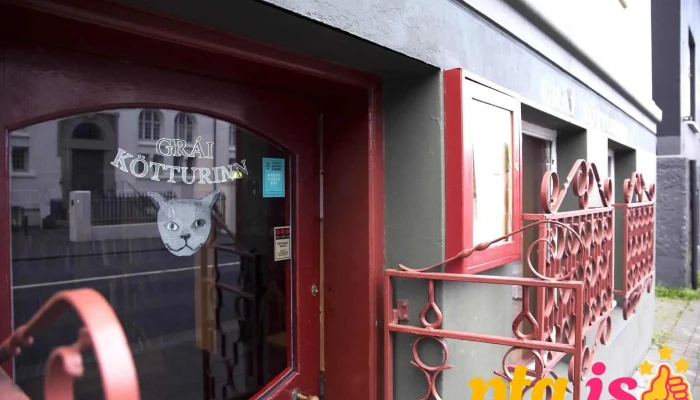 Grái kötturinn - 101 Reykjavík