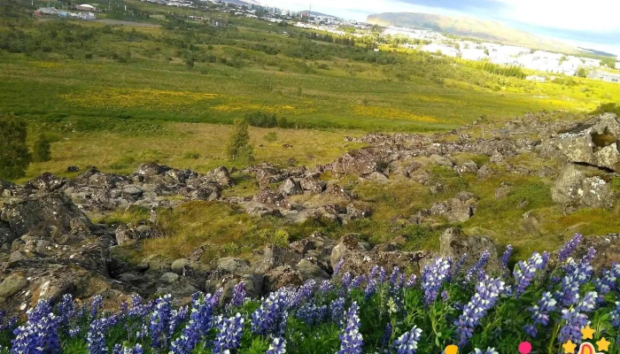Gufunes -  Fjall - Reykjavík