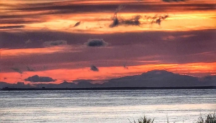 Gufunes -  Svæði - Reykjavík