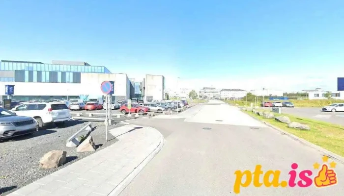 Guyde - Ai -Storytelling App - Reykjavík