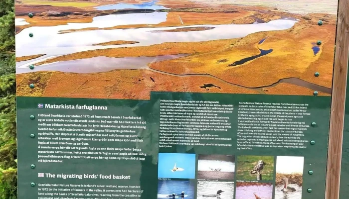 Hanefsstadaskogur Almenningsgarður - Dalvík