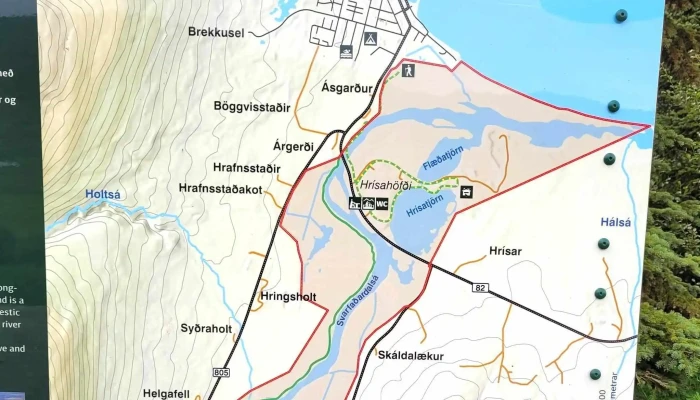 Hanefsstadaskogur Dalvik - Dalvík