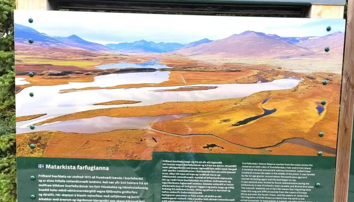 Hanefsstadaskogur Myndir - Dalvík