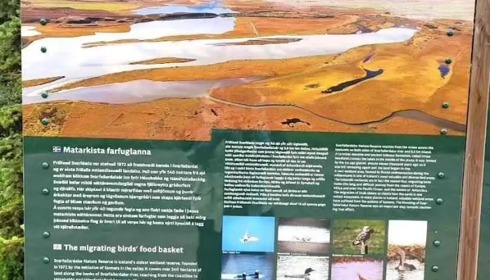 Hánefsstaðaskógur - Dalvík