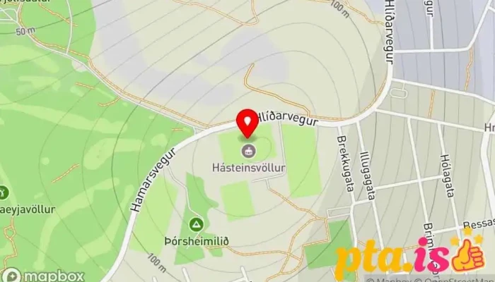 Hasteinsvollur Kort - Vestmannaeyjabær