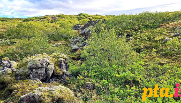 Heiðmork Kopavogur+258255+3 - Kópavogur