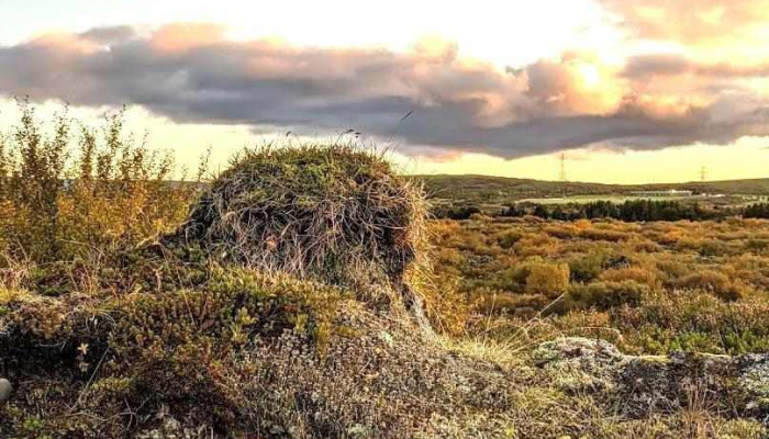 Heiðmörk - Kópavogur