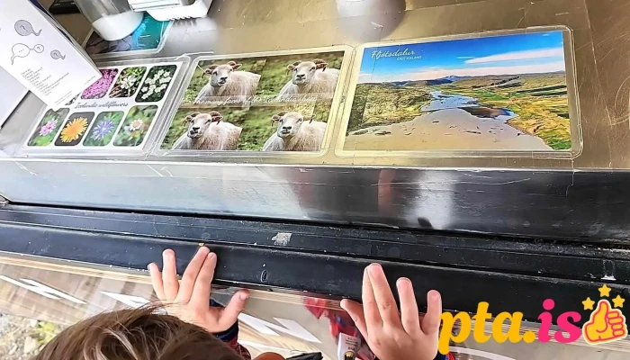 Hengifoss Food Truck -  Veitingastaður - Egilsstaðir